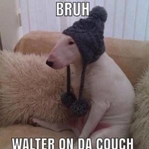 Meet your Posher, Alexander